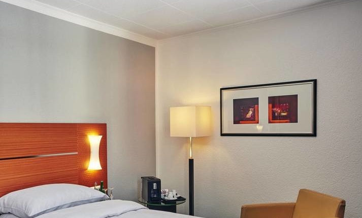 Comfort room H+ La Palma Hotel & Spa Locarno
